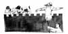 Image28