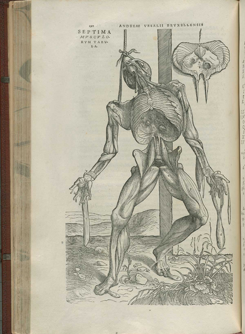 Image2