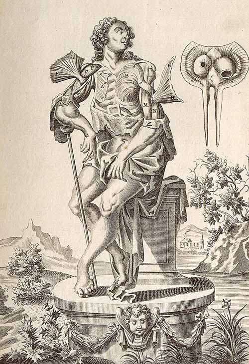 Image4