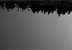 Image 10000000000000E6000000A121C7CE929E2B1808.jpg