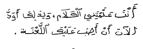 Image6